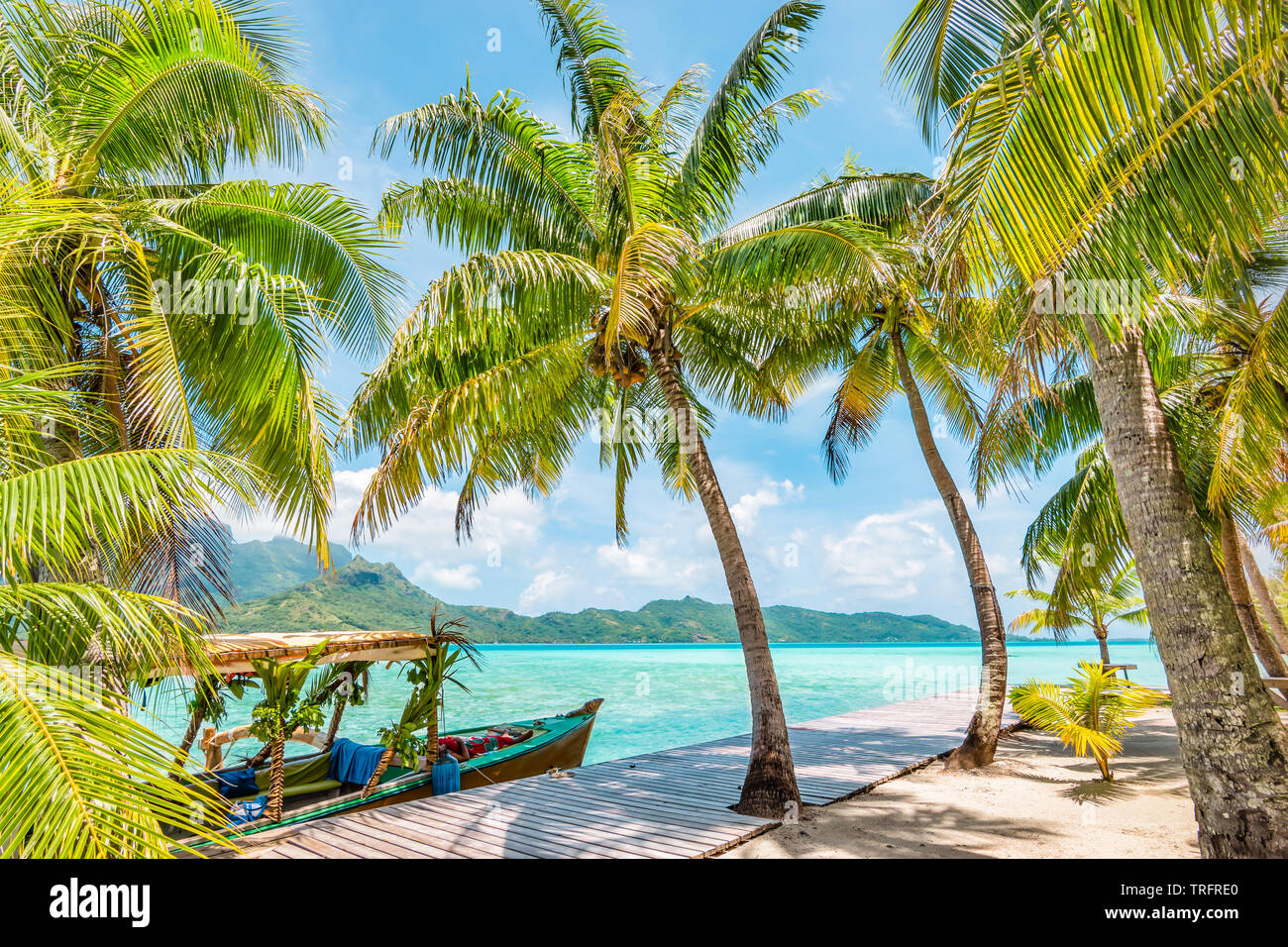 Beautiful landscape with coconut palm trees on tropical Island of Bora Bora. Decorated tourist boat moored at wooden quay. Stock Photo