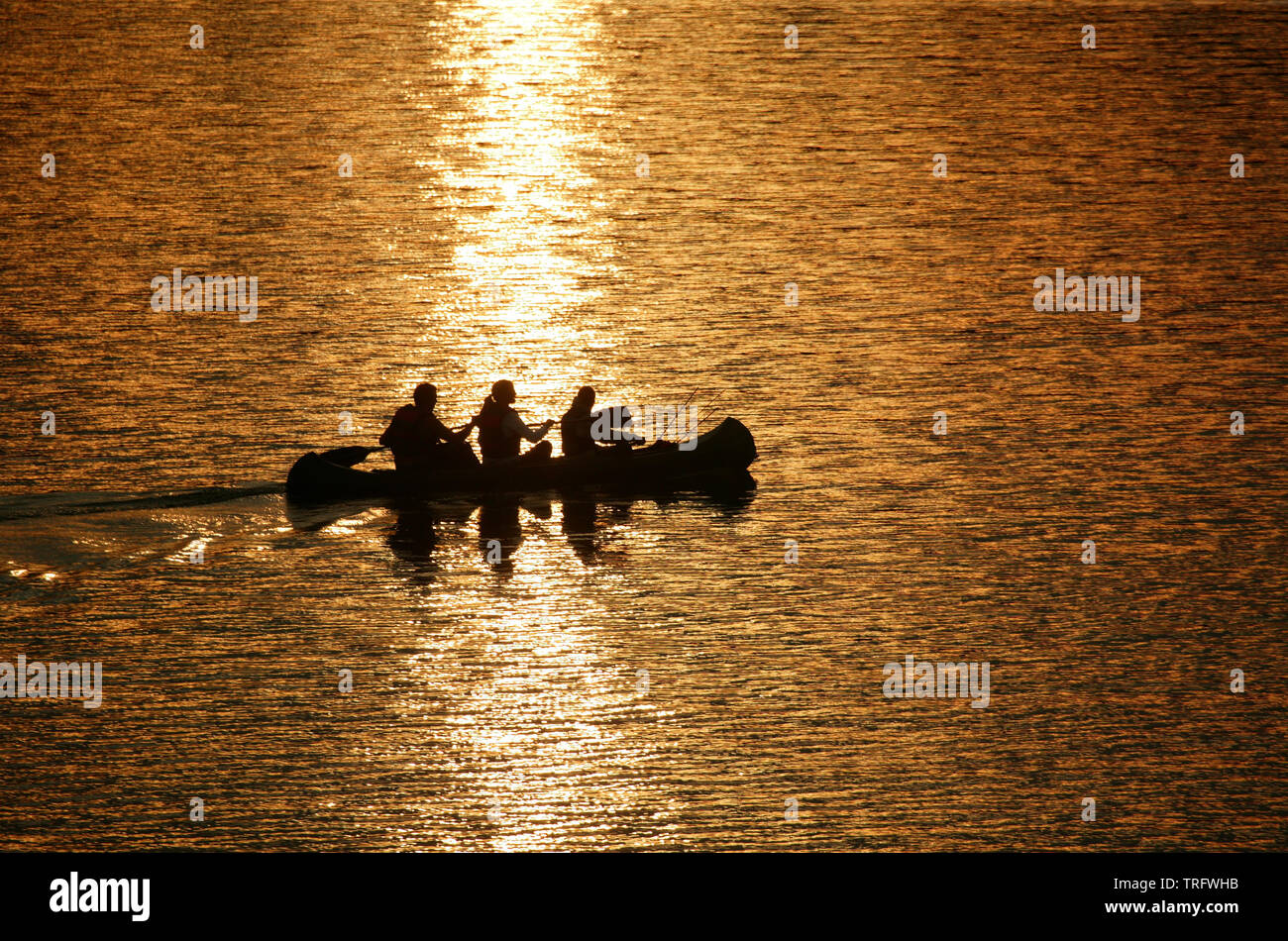 Three persons paddling in a canoe at sunset in the lake Vansjø in Østfold, Norway. Vansjø is the largest lake in Østfold, and its surrounding lakes and rivers are a part of the water system called Morsavassdraget. August, 2006. Stock Photo