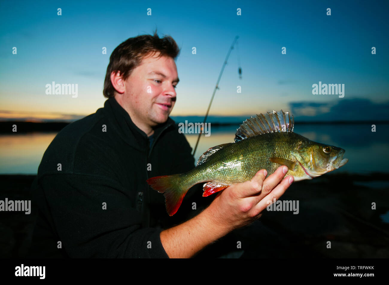 The Norwegian Jan Andre Ulriksen with a common perch, Perca fluviatilis, caught in the lake Vansjø in Østfold, Norway. Vansjø is the largest lake in Østfold, and a popular area for fishing. Vansjø and its surrounding lakes and rivers are a part of the water system called Morsavassdraget. September, 2006. Stock Photo