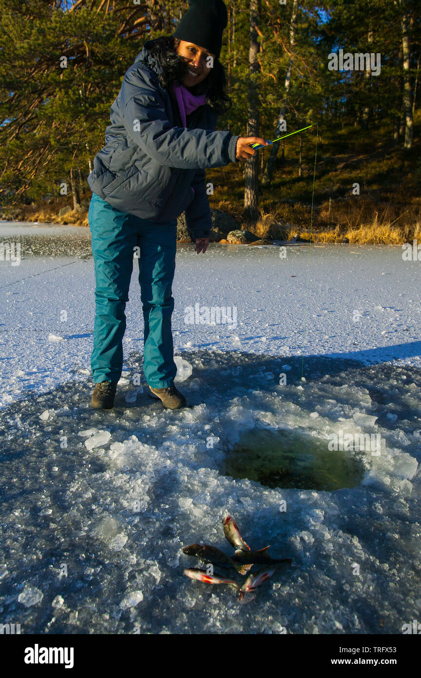 Zizza Gordon is fishing Common Perch, Perca fluviatilis, through a hole in the ice on the lake Ravnsjø, Våler kommune, Østfold, Norway. The lake is a part of the water system called Morsavassdraget. January, 2009. Stock Photo