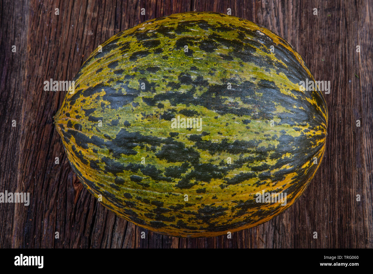 Melon (Kirkagac kavun) in Manisa city of Turkey.Close up on wooden