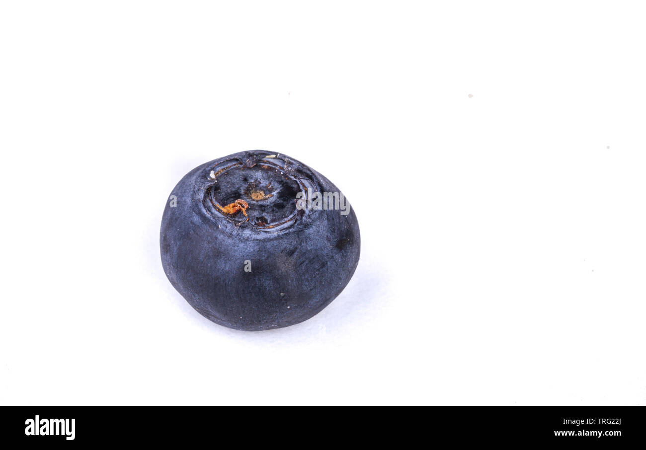 Blueberries isolated from the background. Forest fruits. Perfect for jam. Purple and round. The perfect addition to yogurt. Juicy Fruit. Stock Photo