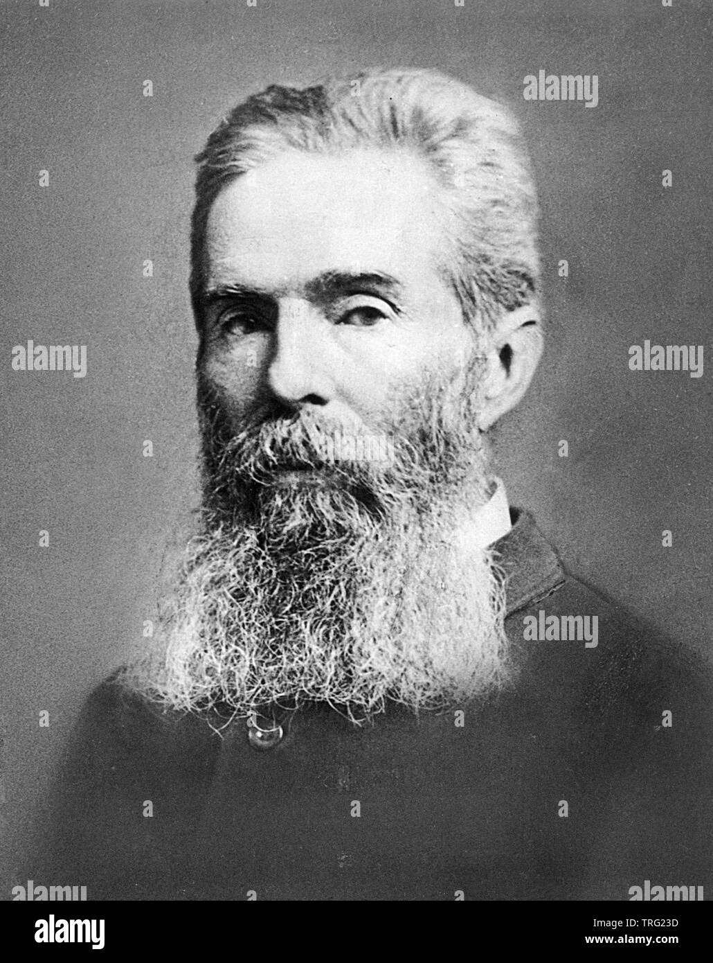 HERMAN MELVILLE (1819-1891) American novelist and poet in 1865 Stock Photo