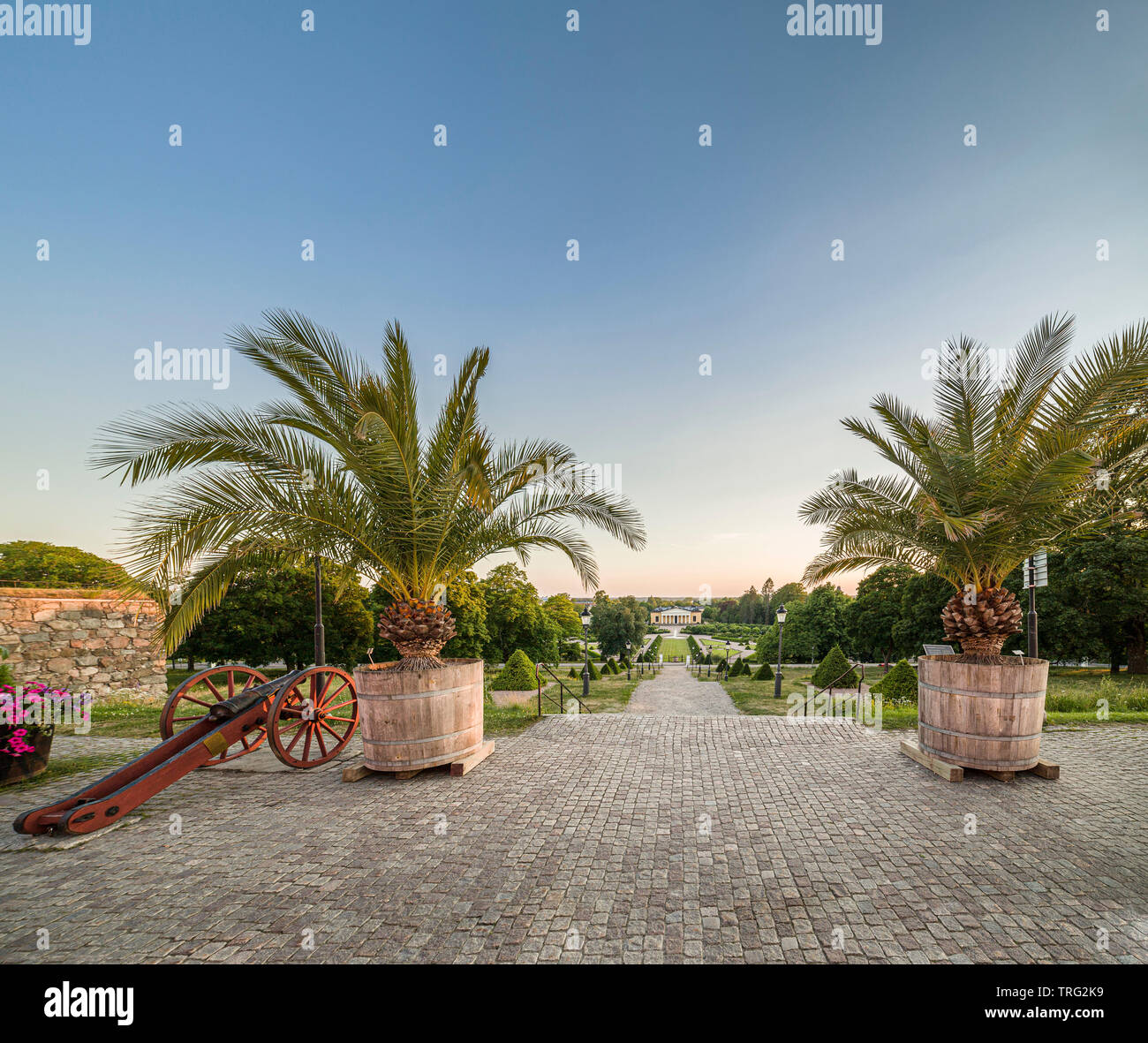 My Image 22