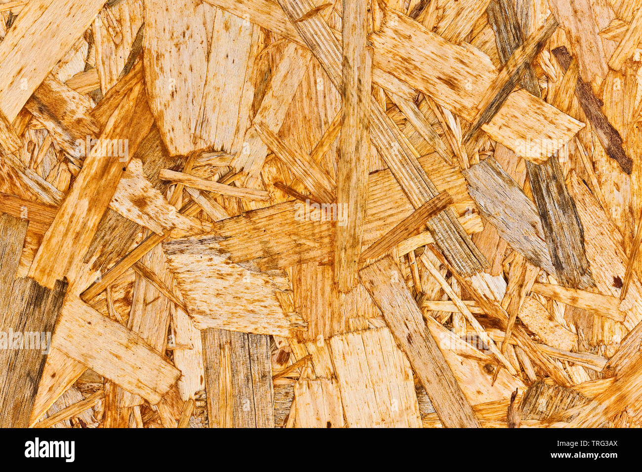 OSB wooden background (Oriented strand board) used in the construction industry Stock Photo