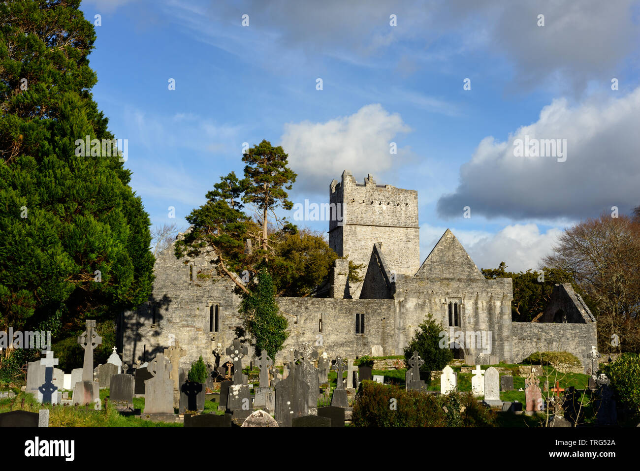 Muckross Abbey ruins and graveyard in Killarney National Park, County Kerry, Ireland Stock Photo
