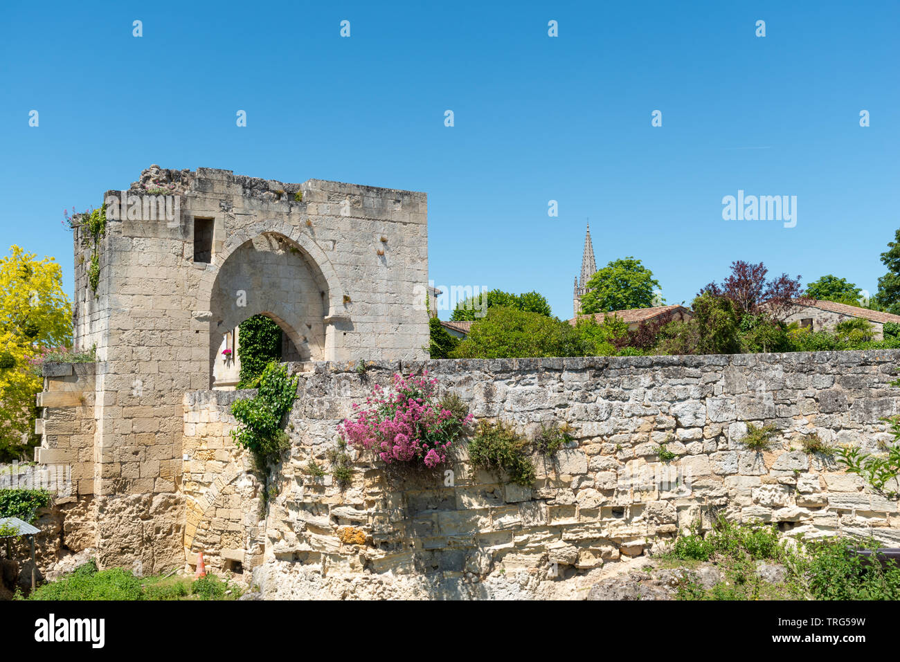 Saint-Emilion (Gironde, France), ruins of the medieval castle in the village Stock Photo