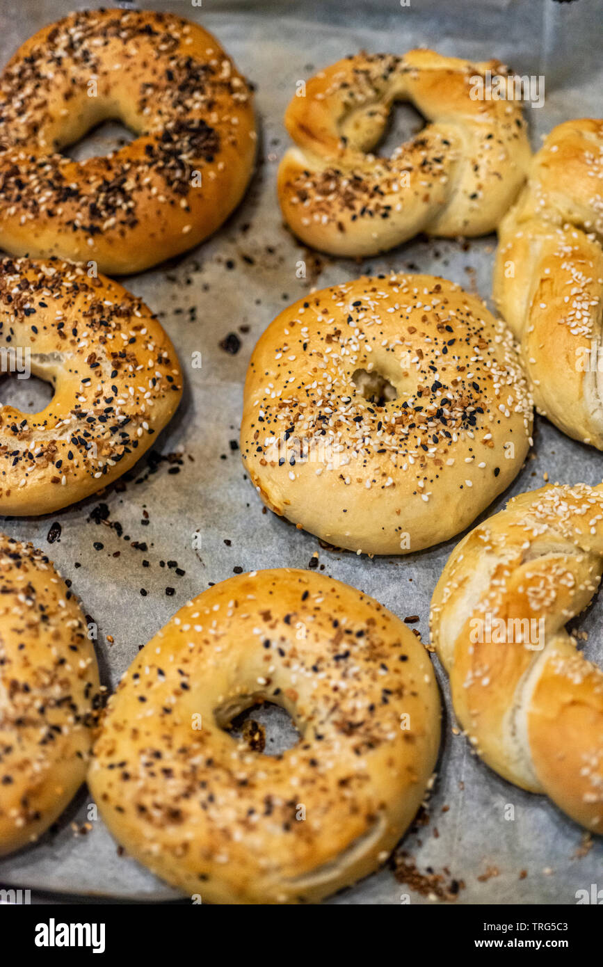 Fresh american bagel out of the oven Stock Photo