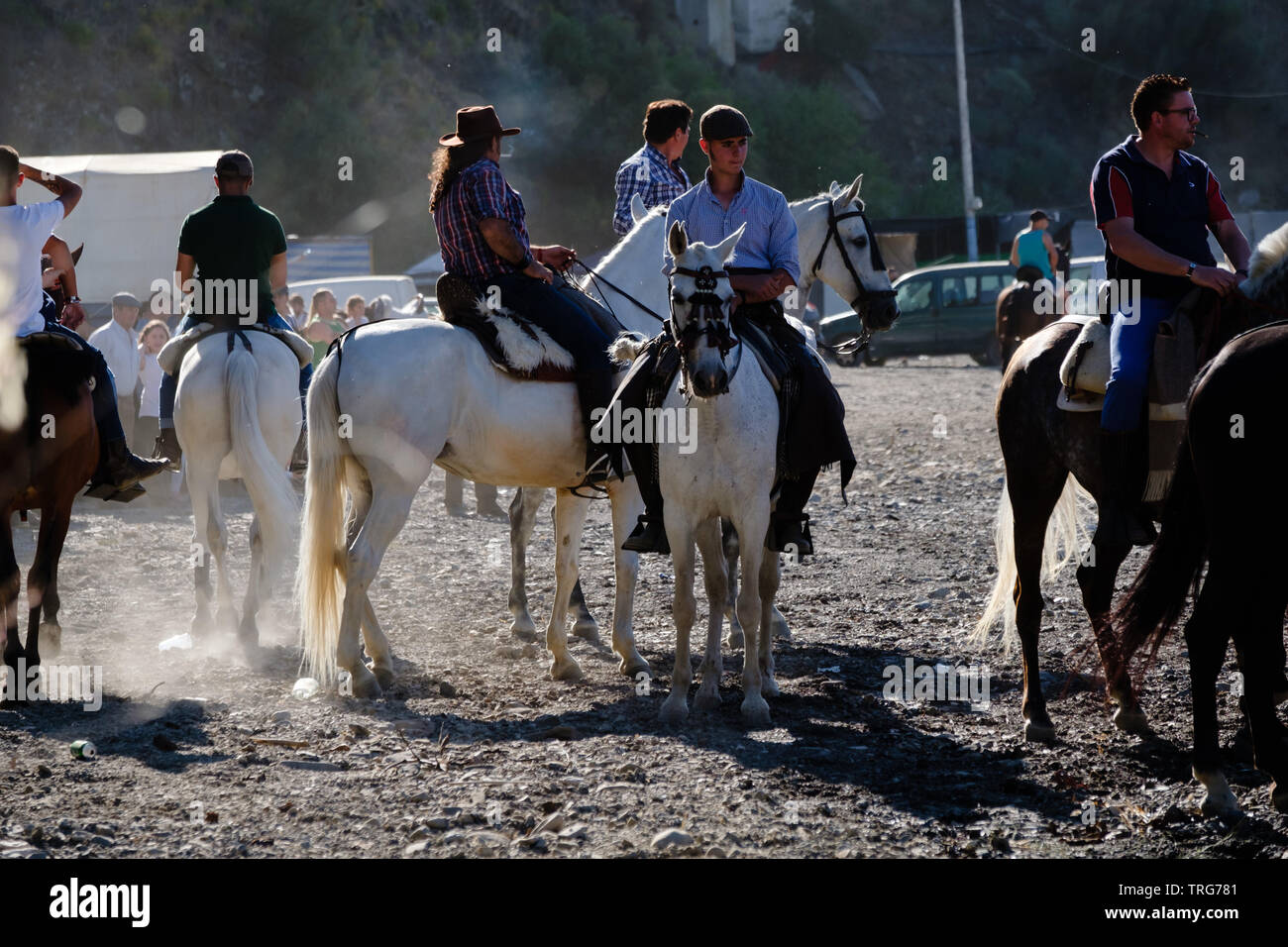 Traditional horse ribbon racing at the Benamargosa Romeria