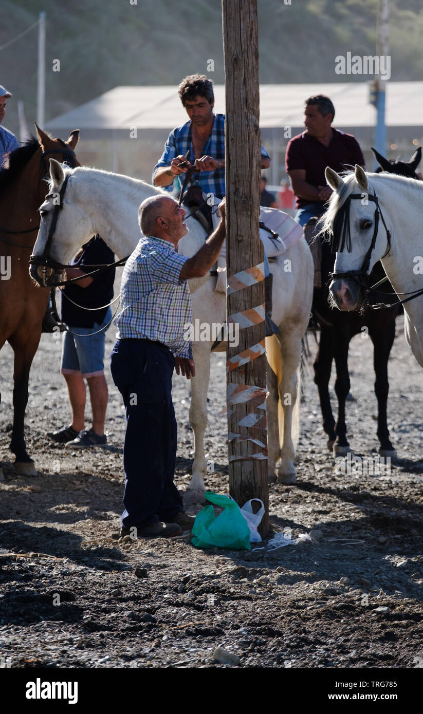 Traditional horse ribbon racing at the Benamargosa Romeria
