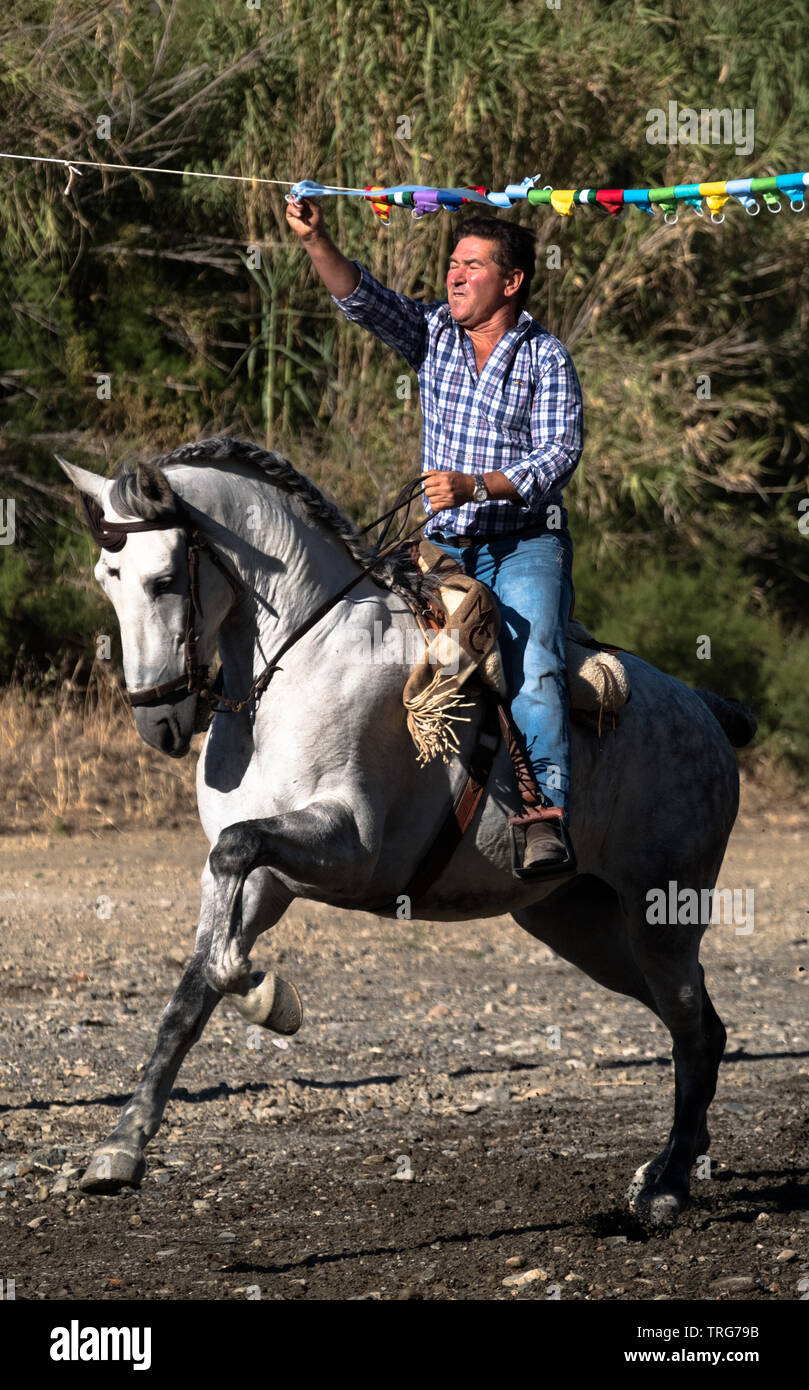 Traditional horse ribbon racing at the Benamargosa Romeria