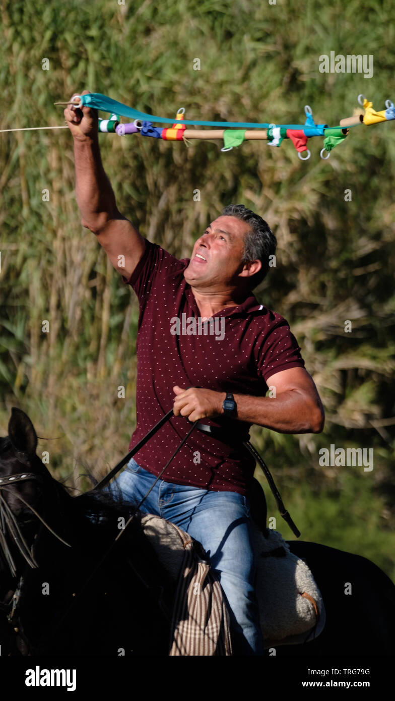 Traditional horse ribbon racing at the Benamargosa Romeria