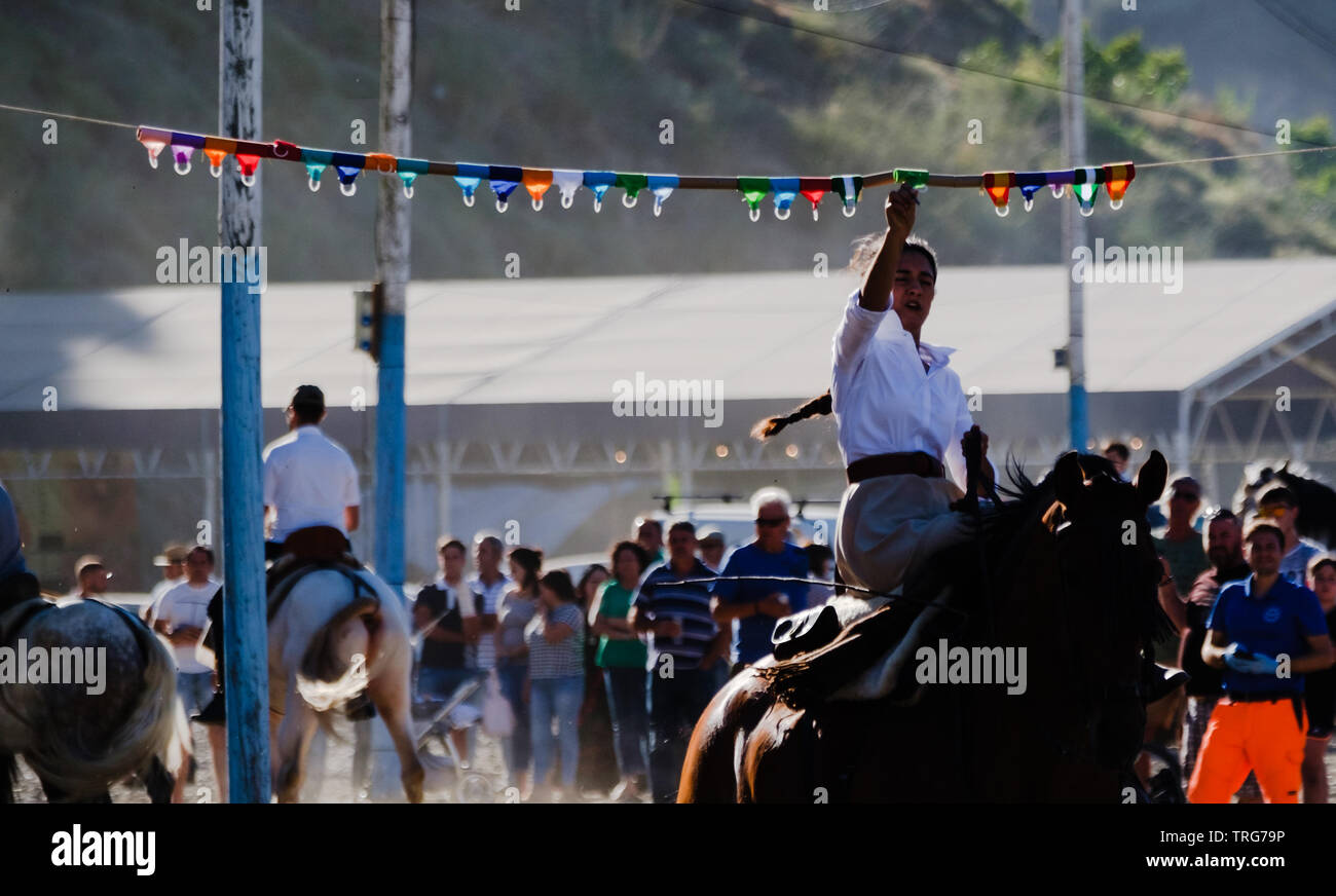 Traditional horse ribbon racing at the Benamargosa Romeria
