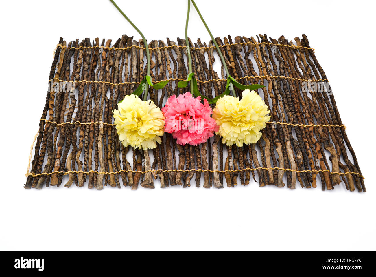 The carnations form a plant genus in the family of the carnation family. Nelken auf Holz oder weißem Hintergrund / Cloves on wood or white background Stock Photo