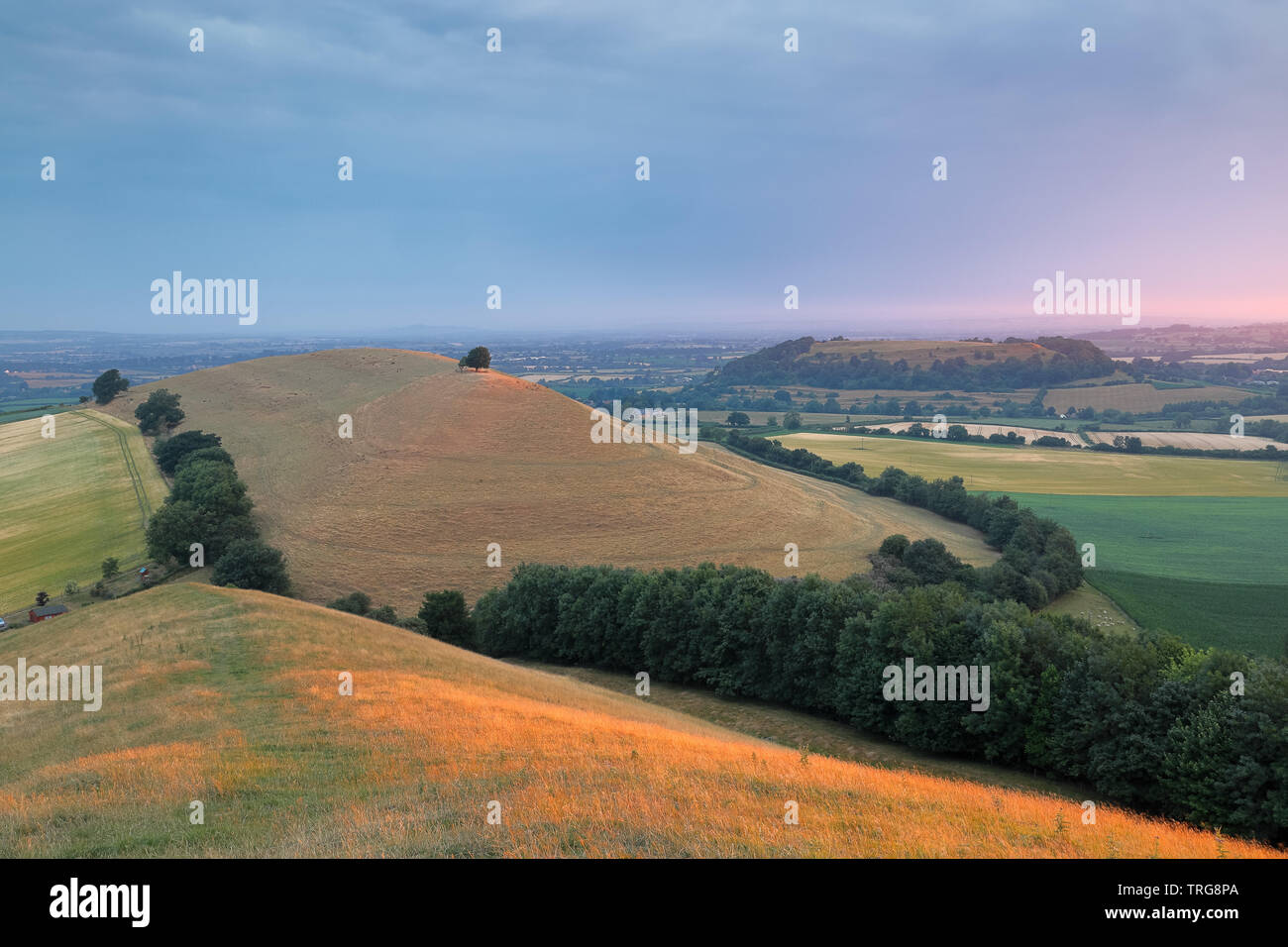 Parrock Hill and Cadbury Castle at dawn, Somerset, England, UK Stock Photo