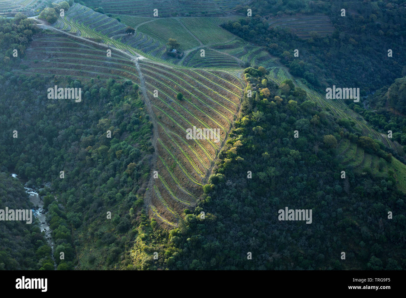 Terraces near São Cristovão do Douro in the Douro Valley wine region, Vila Real, Portugal Stock Photo