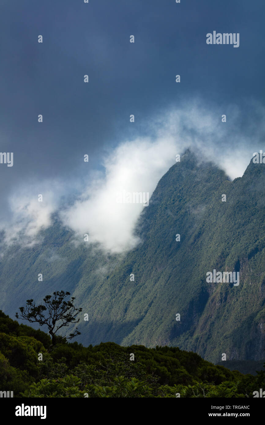 The Col de Boeuf, Réunion Island, France Stock Photo