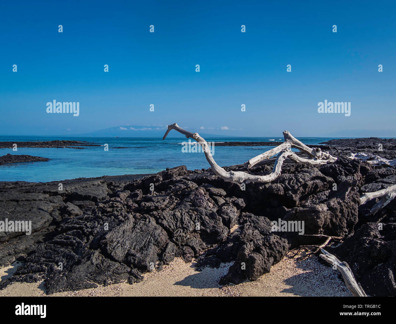 Beautiful volcanic landscape of Punta Moreno in Isabela Island