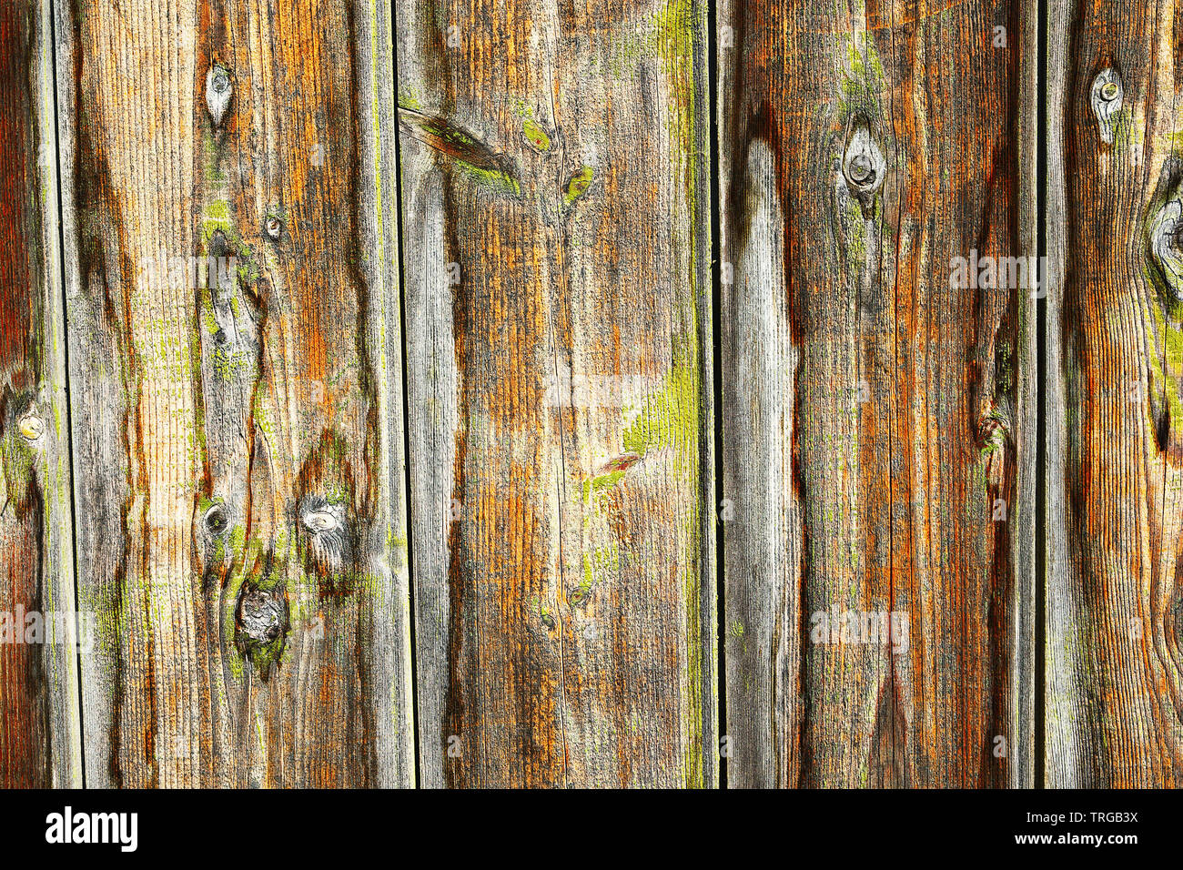 weathered wooden plank surface, texture for your design Stock Photo