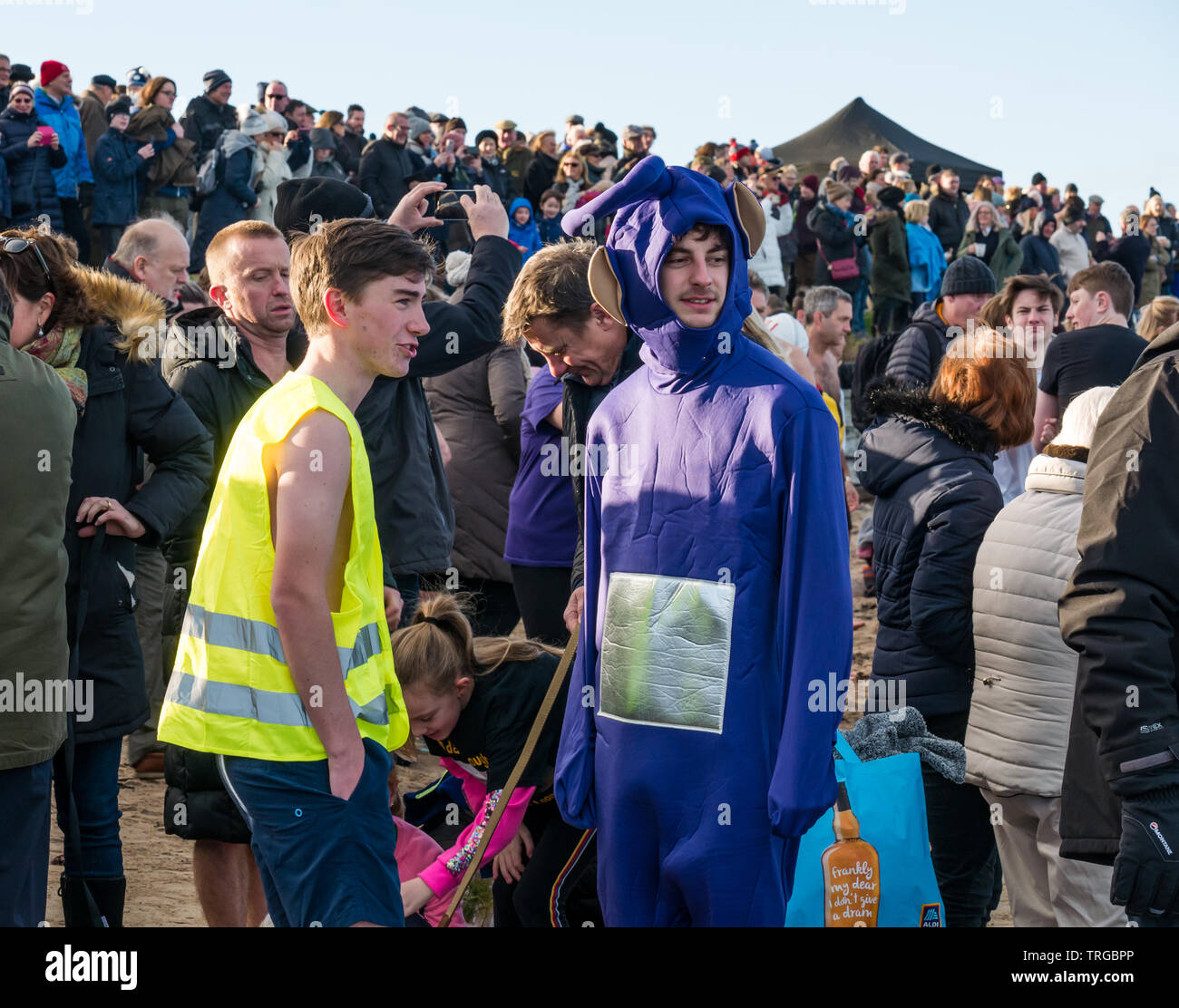 Loony Dook, New Year's Day: West Bay, Firth of Forth, North Berwick, East Lothian, Scotland; a young man in a Tinky Windy Teletubbies costume Stock Photo