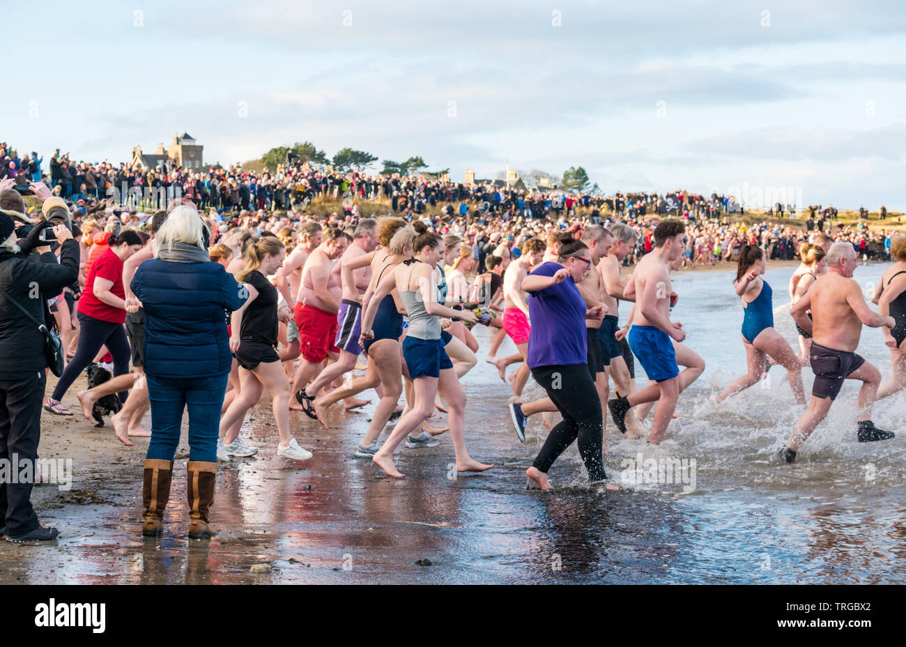 Loony Dook , New Year's Day: People brave the cold water, West Bay, Firth of Forth, North Berwick, East Lothian, Scotland, UK. People run into the sea Stock Photo