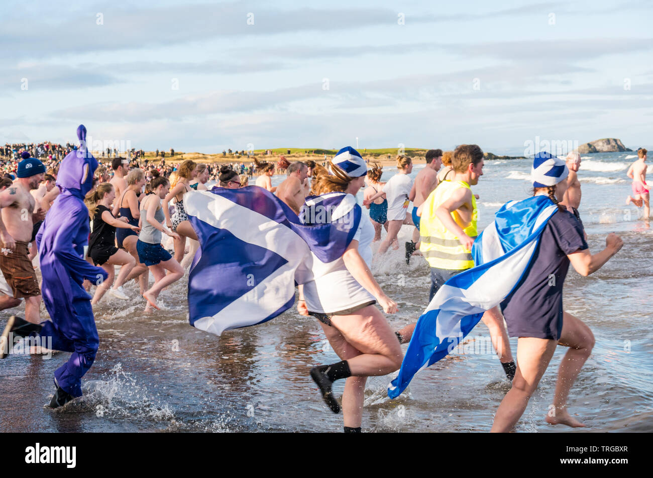 Loony Dook , New Year's Day: People brave the cold water, West Bay, Firth of Forth, North Berwick, East Lothian, Scotland, UK. People run into the sea Stock Photo