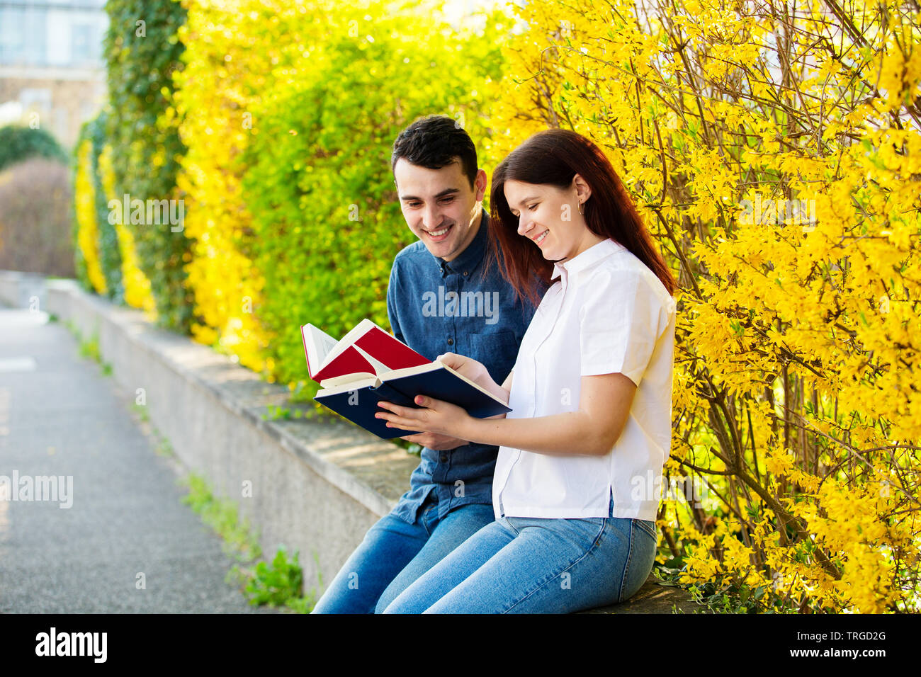 Students learning for exam together in a city park. Students Brainstorming Meeting  learning for exam. Fast learning concept. Students Teamwork. Stock Photo