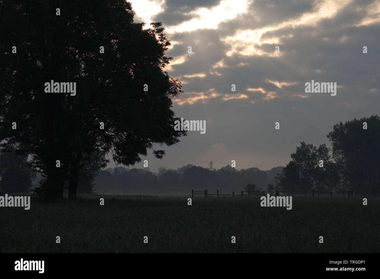 Foggy sunrise next to a field Stock Photo
