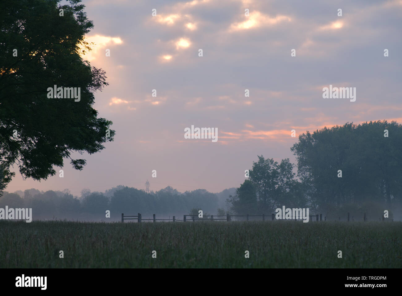 Foggy sunrise next to a field Stock Photo