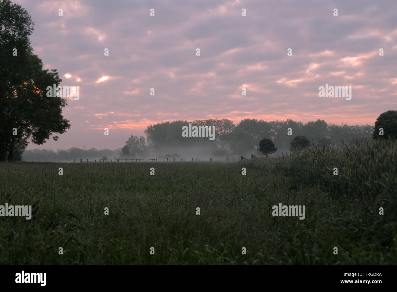 Foggy sunrise next to a field Stock Photo