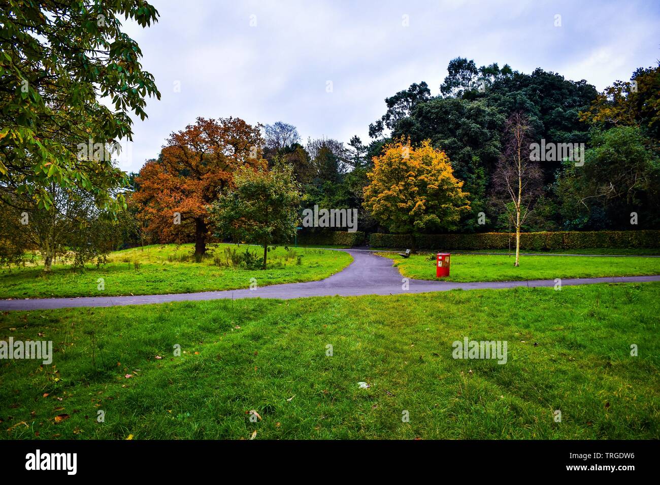 Singleton park swansea hires stock photography and images Alamy