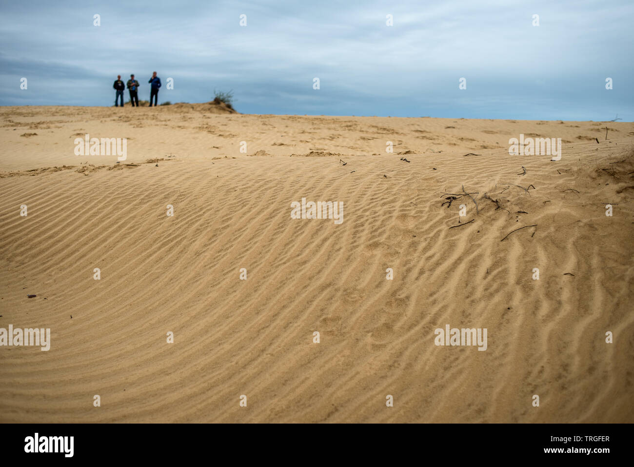 Desert Oleshky Sands or Oleshky Desert, second largest desert of Europe