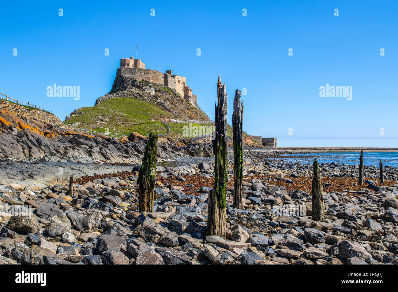 Lindisfarne castle on holy island in Northumberland, Holy Island is a tidal island off the northeast coast of England. Stock Photo