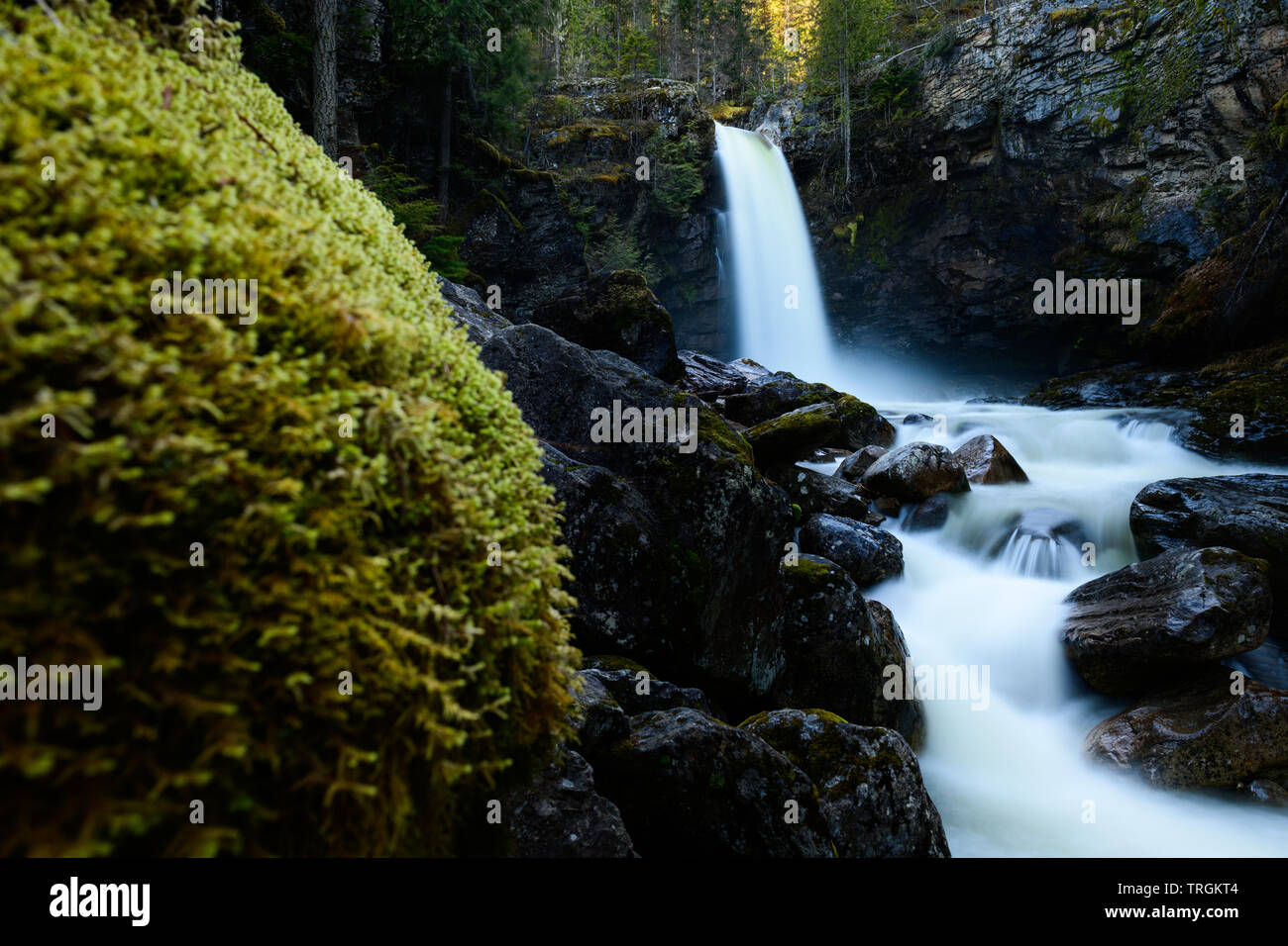 Sutherland Falls near Revelstoke, British Columbia, Canada, a popular tourist destination and an easy hike. Stock Photo