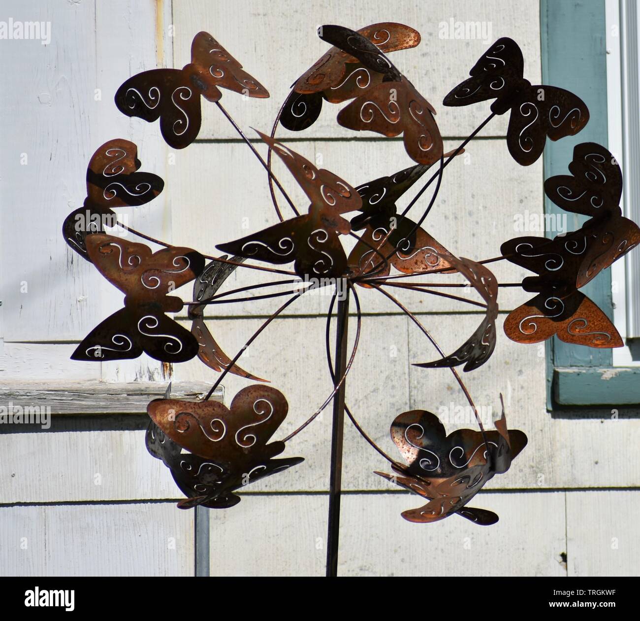 closeup Butterfly garden wind spinner Stock Photo Alamy