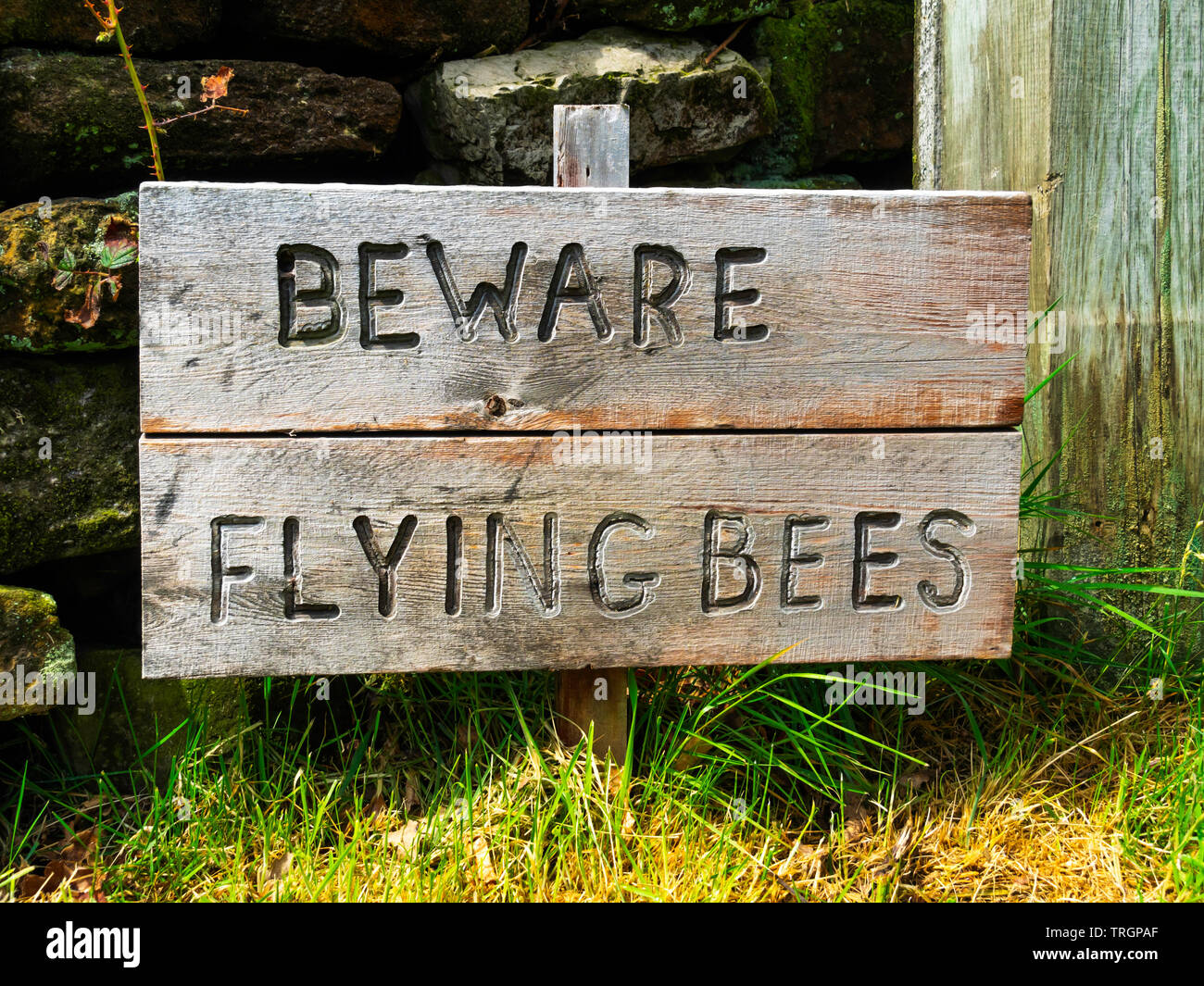 Orchard bee hives hires stock photography and images Alamy