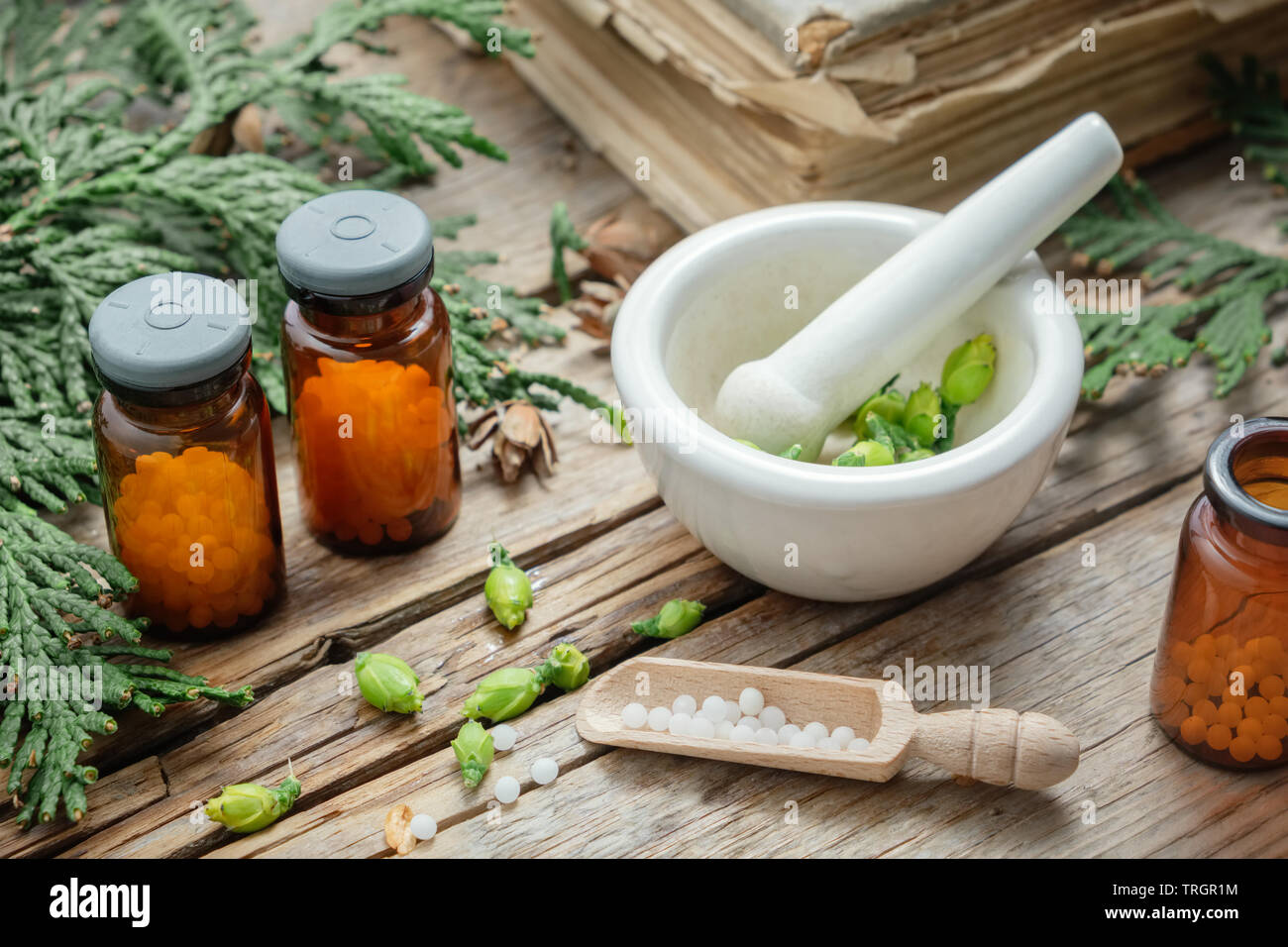 Bottles of homeopathic globules, Thuja occidentalis plant, old books and mortar. Homeopathy medicine. Stock Photo