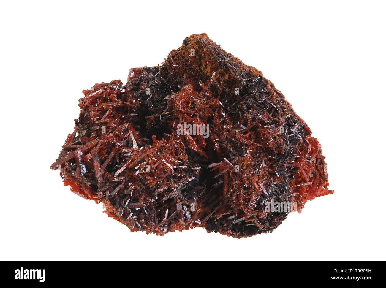 Focus stacked image of a crystallized specimen of Crocoite from Tasmania, a mineral consisting of lead chromate (PbCrO4) which crystallizes in the mon Stock Photo