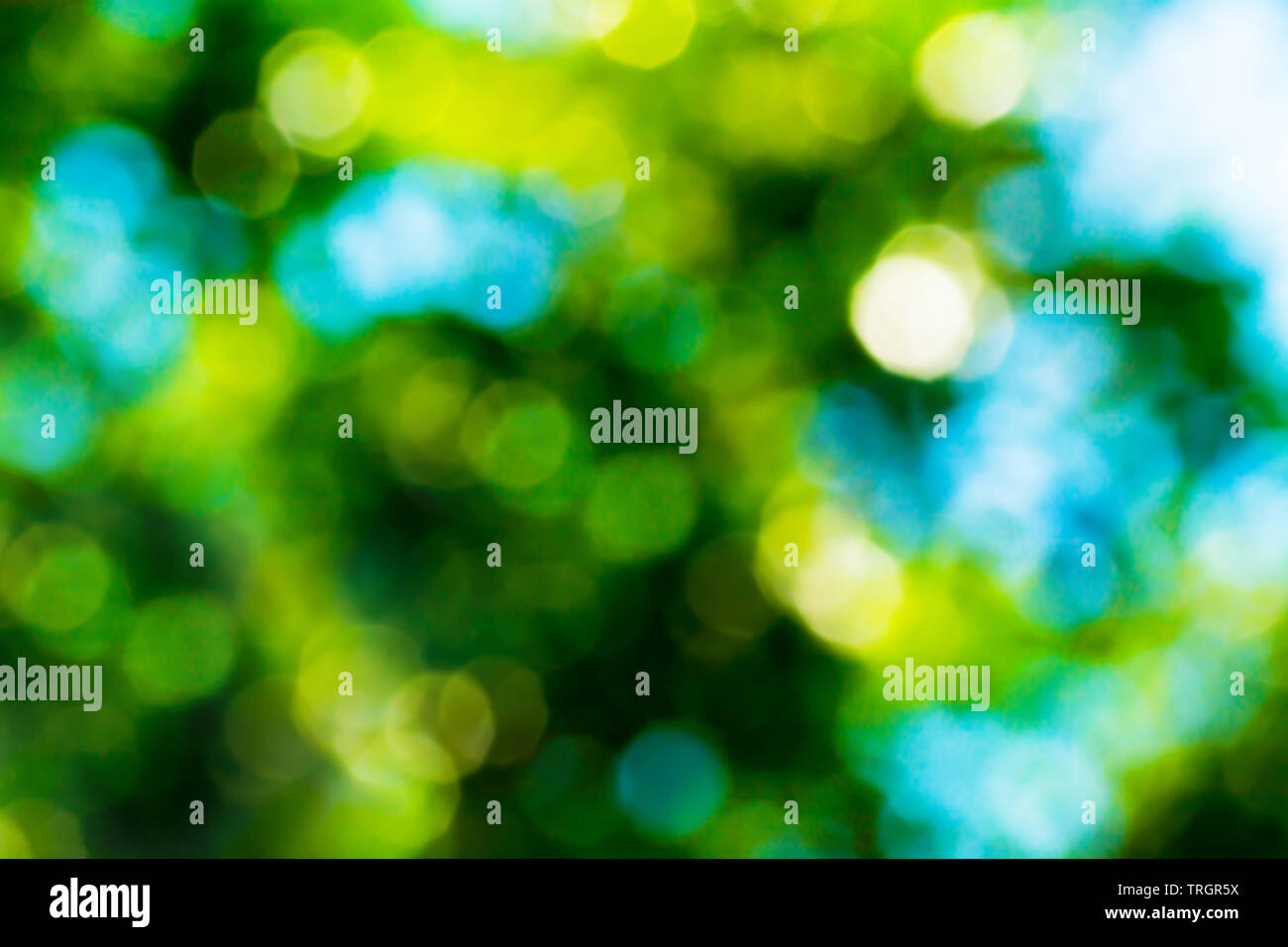 34+ Blurred Blue Bokeh Background Images