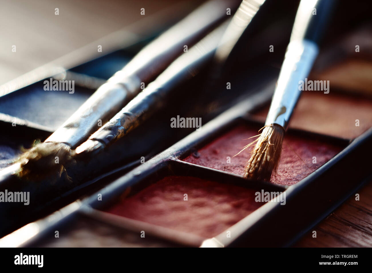palette with watercolor paint and paint brushes lit by the gentle sun