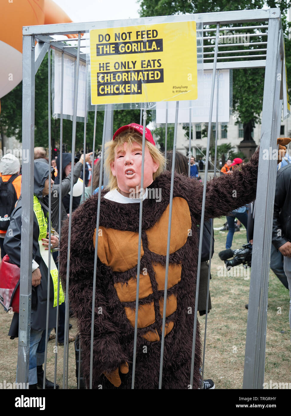 View of the Trump gorilla in Parliament Square protesting against the visit of President Donald Trump to London in June 2019 Stock Photo