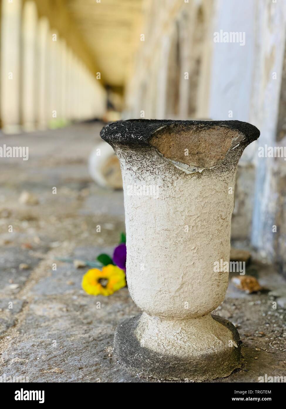 broken clay vase in dying flowers in abandoned building Stock Photo Alamy