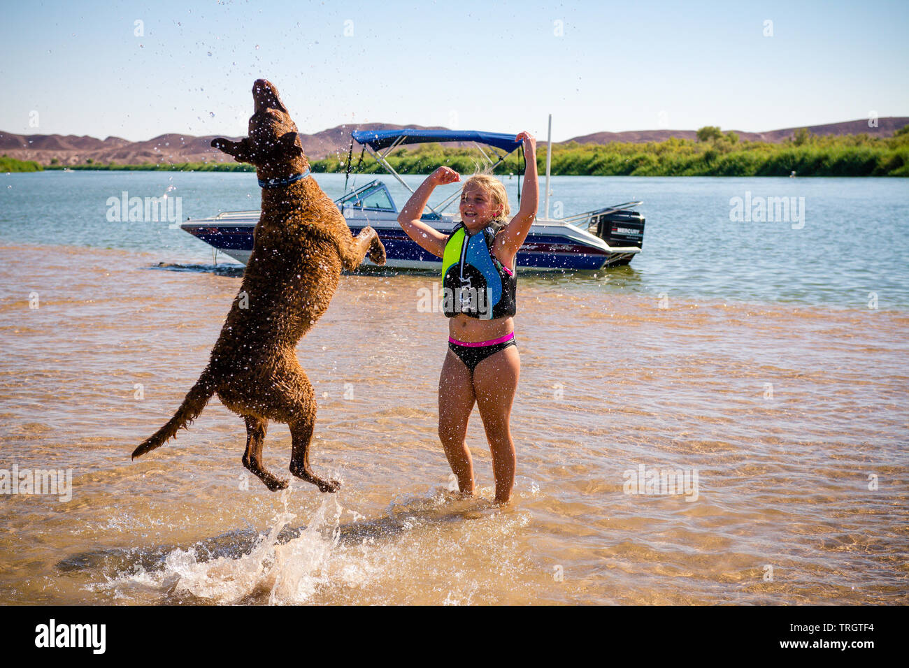 Dog playing with children in the water on a summer day. Stock Photo