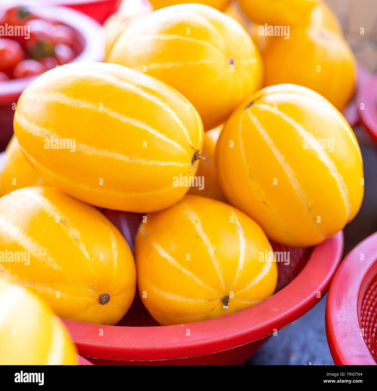 Delicious korean stripe yellow melon fruit food in red plastic basket