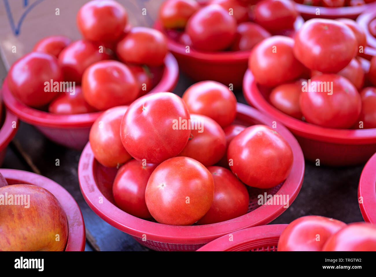 Delicious fresh tomatoes fruit vegetable food in red plastic basket at ...