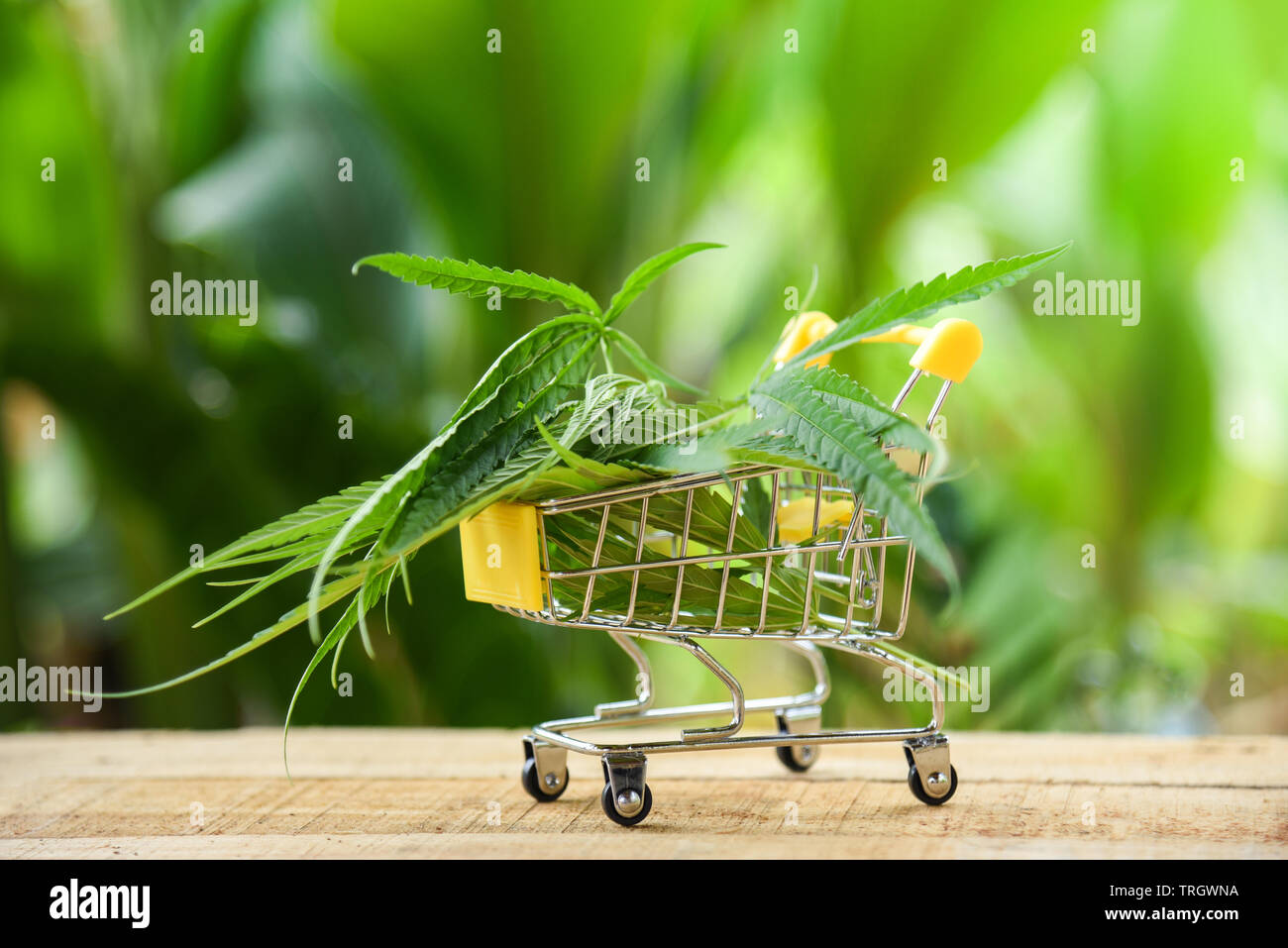 Cannabis business marijuana market industry trend grow higher quickly