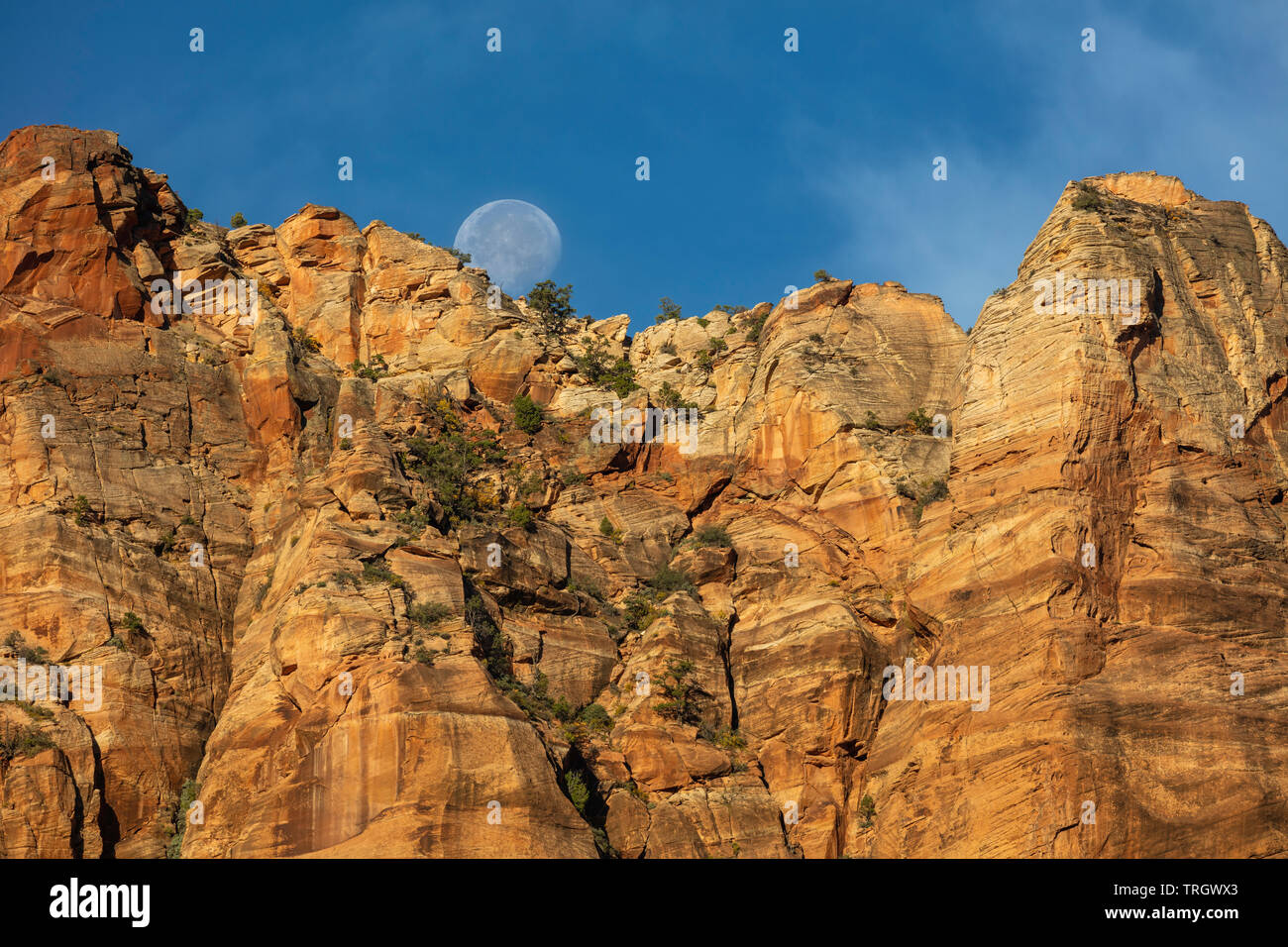 Setting moon, Zion National Park, Utah Stock Photo