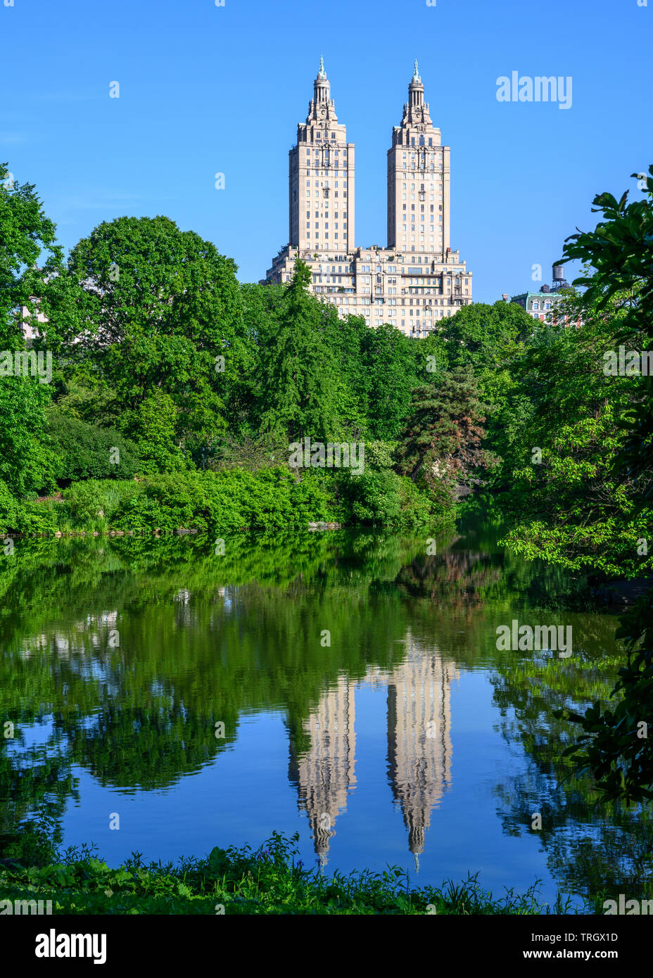 reflected-trees-in-central-park-in-new-york-city-hi-res-stock
