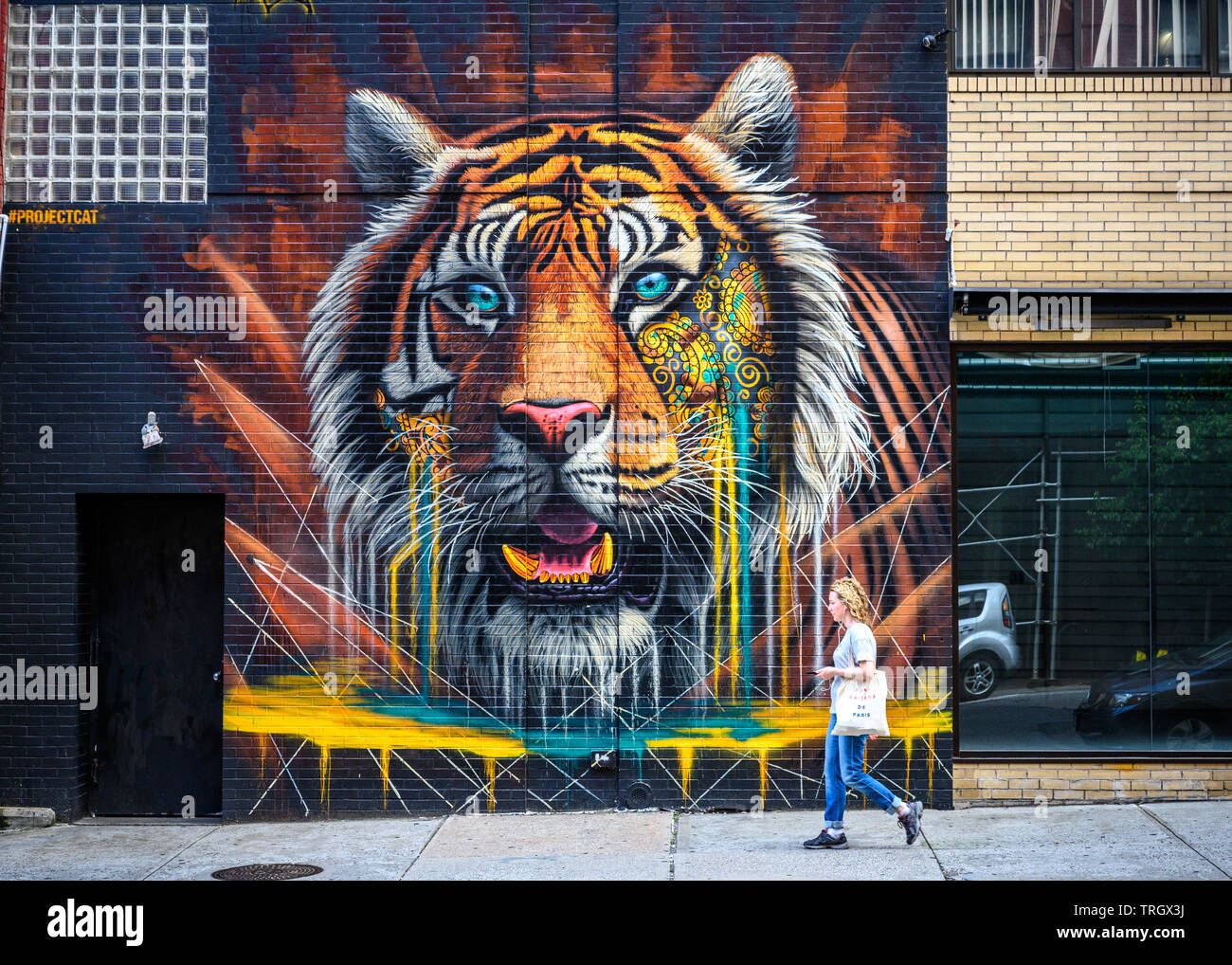 New York, USA,  2 June 2019. A woman walks in front of mural in downtown New York City.  The mural promotes Project C.A.T. - Conserving Acres for Tige Stock Photo