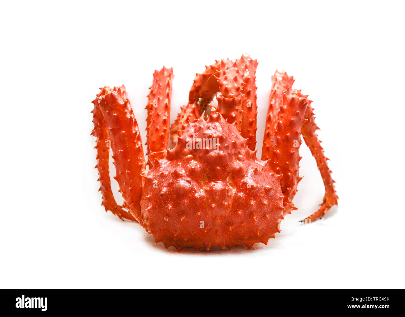 Red crab isolated / Alaskan King Crab Cooked steam or Boiled seafood on